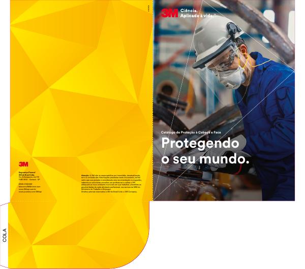 Capa: Cabeça e Face